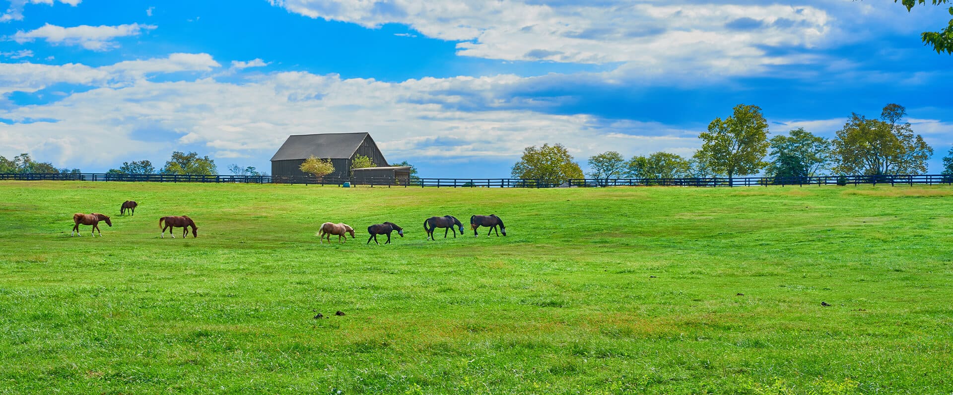 Agriculture Appraisal Review